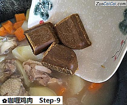 咖喱鸡肉做法第九步骤