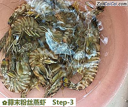 蒜末粉丝蒸虾做法第三步骤