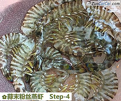 蒜末粉丝蒸虾做法第四步骤