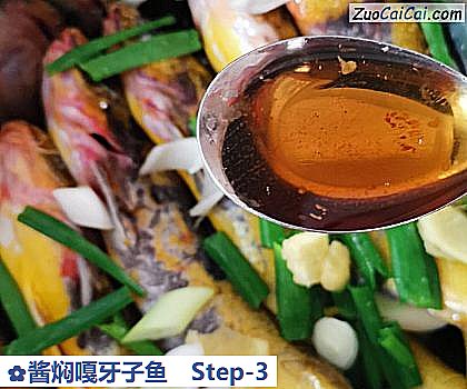 酱焖嘎牙子鱼做法第三步骤