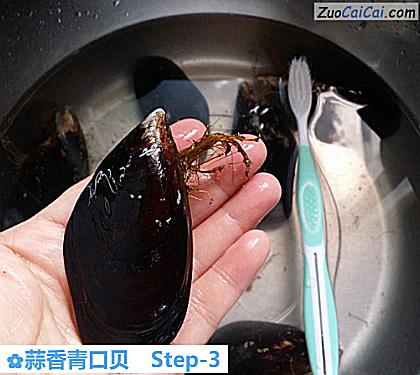 蒜香青口贝做法第三步骤