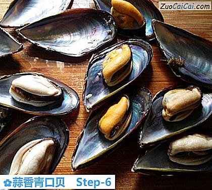 蒜香青口贝做法第六步骤