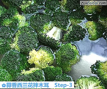 蒜香西兰花拌木耳做法第三步骤