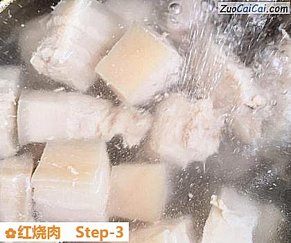红烧肉做法第三步骤