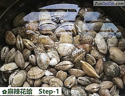 麻辣花蛤做法第一步骤