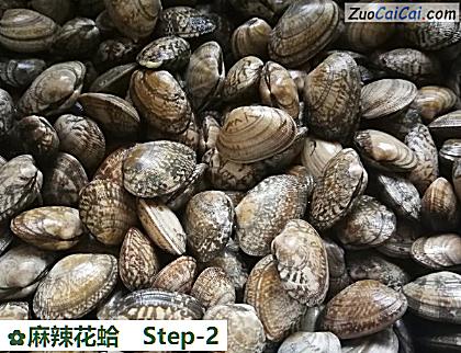 麻辣花蛤做法第二步骤