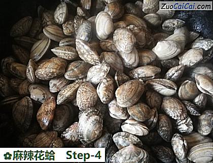 麻辣花蛤做法第四步骤