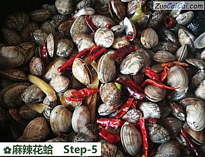 麻辣花蛤做法第五步骤