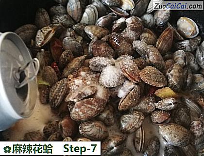 麻辣花蛤做法第七步骤