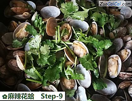 麻辣花蛤做法第九步骤