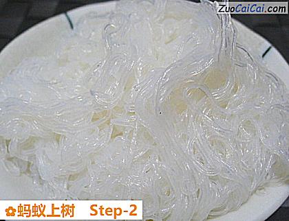 蚂蚁上树做法第二步骤