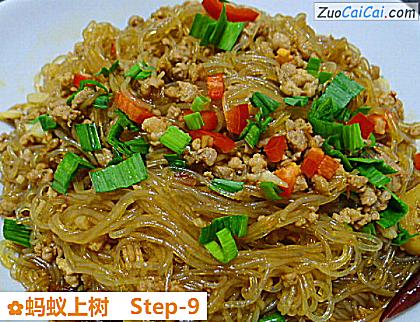 蚂蚁上树做法第九步骤