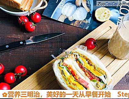 营养三明治做法第十步骤