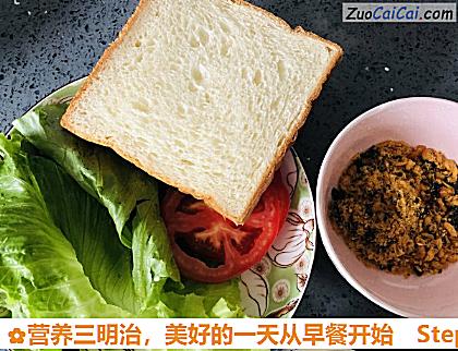 营养三明治做法第二步骤