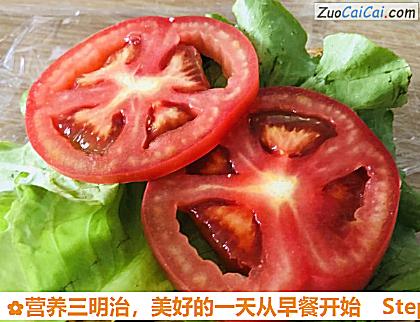 营养三明治做法第六步骤