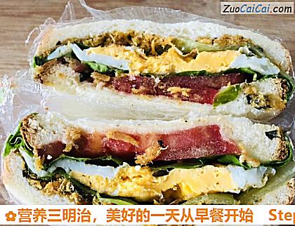 营养三明治做法第九步骤