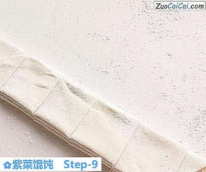 紫菜馄饨做法第九步骤