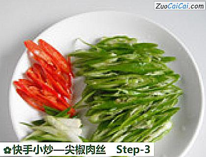 快手小炒做法第三步骤