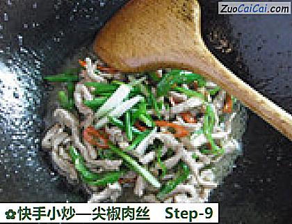 快手小炒做法第九步骤