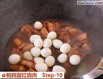 鹌鹑蛋红烧肉做法第十步骤
