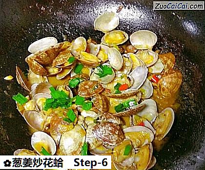 葱姜炒花蛤做法第六步骤