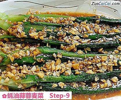 蚝油蒜蓉麦菜做法第九步骤
