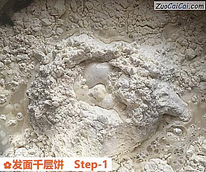 发面千层饼做法第一步骤
