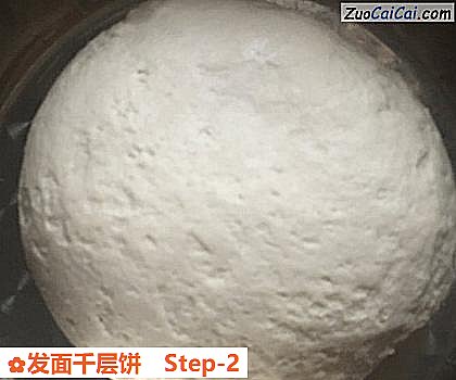 发面千层饼做法第二步骤