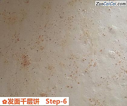发面千层饼做法第六步骤