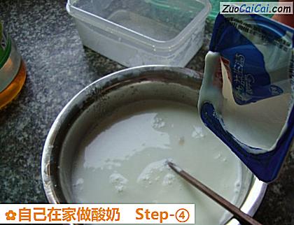 自己在家做酸奶做法第四步骤
