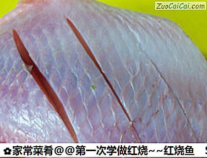 家常菜肴@@第一次学做红烧～红烧鱼做法第二步骤