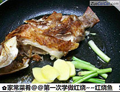 家常菜肴@@第一次学做红烧～红烧鱼做法第四步骤