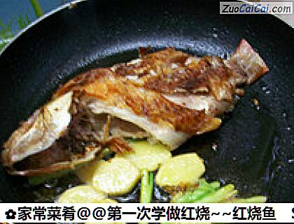 家常菜肴@@第一次学做红烧～红烧鱼做法第五步骤