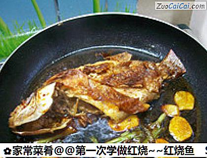 家常菜肴@@第一次学做红烧～红烧鱼做法第七步骤