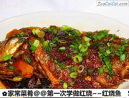 家常菜肴@@第一次学做红烧～红烧鱼做法第九步骤