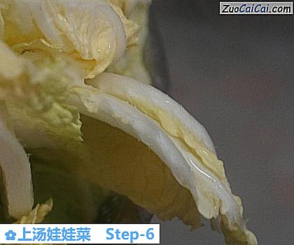 上汤娃娃菜做法第六步骤