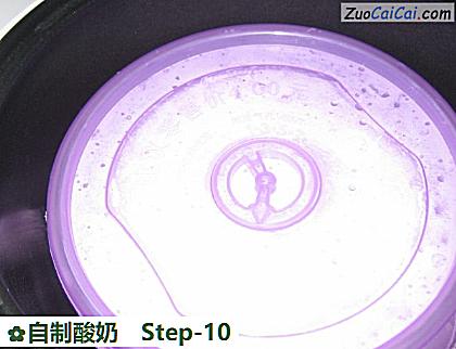自制酸奶做法第十步骤