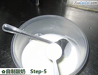 自制酸奶做法第五步骤