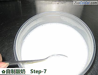 自制酸奶做法第七步骤