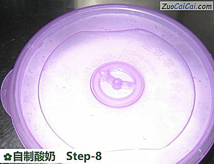 自制酸奶做法第八步骤