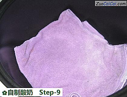 自制酸奶做法第九步骤