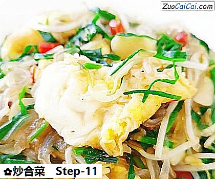 炒合菜做法第十一步骤