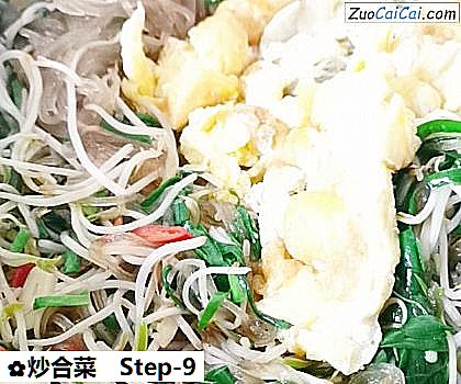 炒合菜做法第九步骤