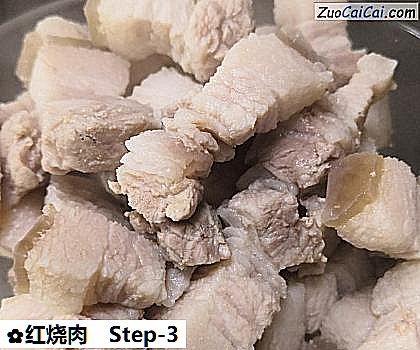 红烧肉做法第三步骤