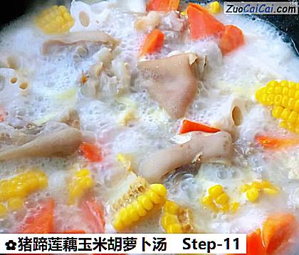 猪蹄莲藕玉米胡萝卜汤做法第十一步骤