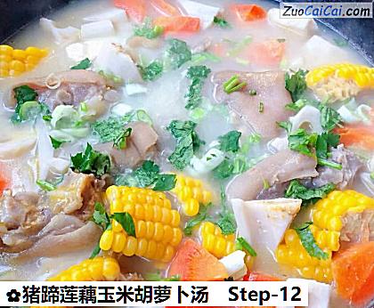猪蹄莲藕玉米胡萝卜汤做法第十二步骤