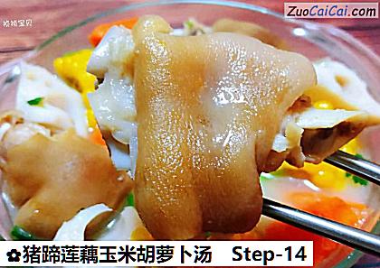 猪蹄莲藕玉米胡萝卜汤做法第十四步骤
