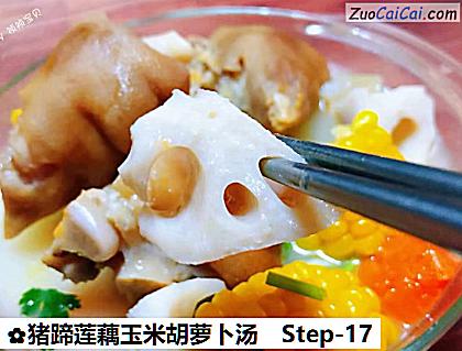 猪蹄莲藕玉米胡萝卜汤做法第十七步骤