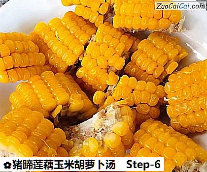 猪蹄莲藕玉米胡萝卜汤做法第六步骤