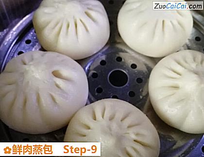 鲜肉蒸包做法第九步骤